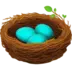Nest With Eggs