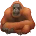 Orangutan