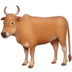 Ox