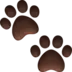 Paw Prints