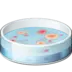 Petri Dish
