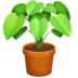 Potted Plant