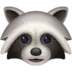 Raccoon