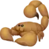 Scorpion