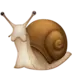 Snail