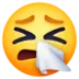 Sneezing Face