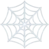 Spider Web