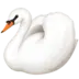 Swan