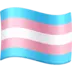 Transgender Flag