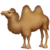 Two-Hump Camel