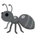 Ant