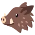 Boar