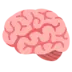 Brain