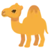 Camel