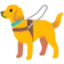 Guide Dog