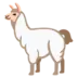 Llama