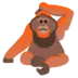 Orangutan
