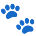 Paw Prints