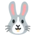 Rabbit Face