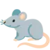 Rat