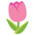 Tulip