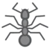 Ant