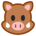 Boar