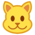 Cat Face