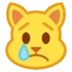 Crying Cat
