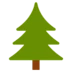 Evergreen Tree