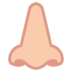 Nose