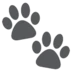 Paw Prints