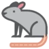 Rat