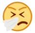 Sneezing Face