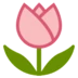 Tulip
