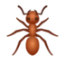 Ant