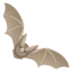 Bat
