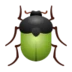 Beetle