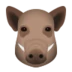 Boar