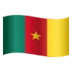 Flag: Cameroon