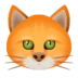 Cat Face