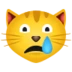 Crying Cat