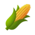 Ear of Corn