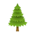 Evergreen Tree
