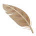 Feather