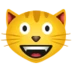 Grinning Cat