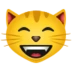 Grinning Cat With Smiling Eyes