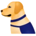 Guide Dog