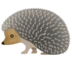 Hedgehog