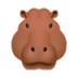 Hippopotamus
